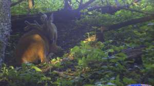 OTR bb FL Better Bedding 1 181003 155503