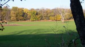 OTR bb FL Killing tree 4 181003 155247