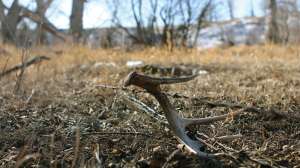 OTR db FL 11016 001 18 D 1