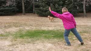 OTR dc FL IMG 65041 181003 155659