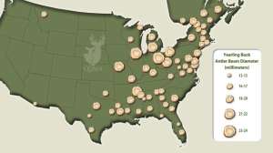 OTR ds FL antlerbeam graphic 181003 160452