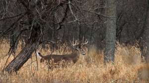 OTR dw FL IMG 1415s 181004 084510