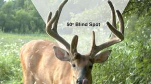 OTR dw FL deer blind spot Ashley Gerou 181003 155357