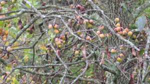 OTR ga FL IMG 1289 181003 160608