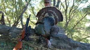 OTR jc FL GVM 3 181003 160309