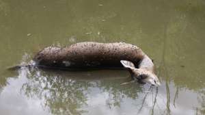 OTR ld FL EHD Sept 2013 003 181003 161615