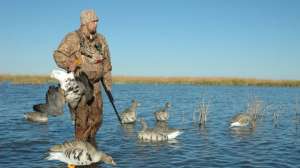 OTR mdj FL Specks 2 181004 084442