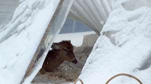 OTR pd FL CWD Deer2013 02 22 Greenhouse