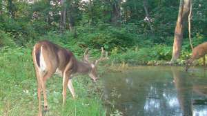 OTR pd FL Indrebo5 181003 160240