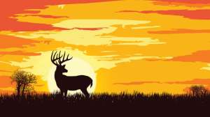 OTR ph FL sun buck 3b treestand 181003 161621