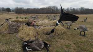 OTR pr FL sidebar2 181003 162235