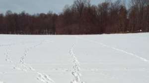 OTR sc FL DSCF0682 181203 143129