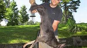 Offseason Yotes IMG 64711 181003 154932