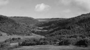 Old Bowhunting Friend black and white