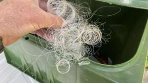 Old Fishing Line trash can photo by Alan Clemons