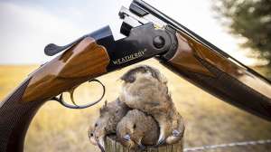 Opener OCT WY DOVES ZACHKK 5