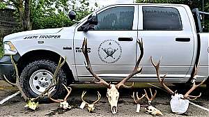 Oregon State Police wildilfe poaching antlers seized