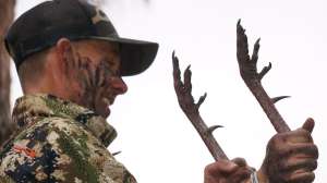 Osceola Turkey Photo 1