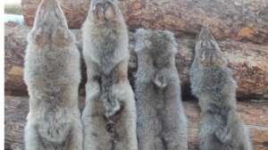 P6060017 181003 155736