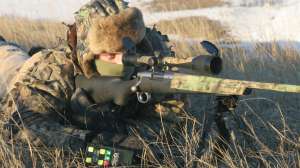 PH Move slow when predators are in sight copyright Mark Kayser