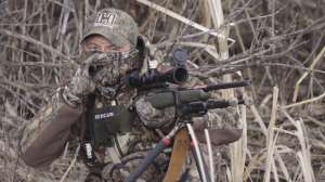 PH Using calls for all predator species copyright Mark Kayser