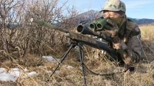 PH199 Predator hunter scouting for predators copyright Mark Kayser 181003 160031