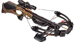 PR Barnett bcx right front 181003 161522