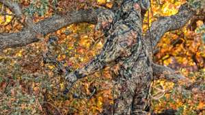 PR Mossy Oak buc hdr 181003 154718