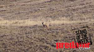 PX Nemnich Jaramillo 181010 154646