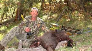 Patrick Meitin desert bears with bow