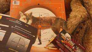 Point Blank Range copy