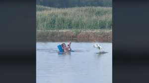 Pool noodle bass jump