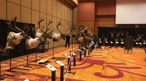 Pope and Young Club Biennial beauty