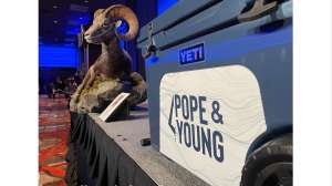 Pope and Young lead image