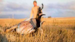 Preference Points beauty