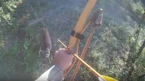 Primitive gear buck beauty 181203 143148