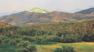 Protected Forever copy