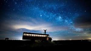 Public Land Tees beauty