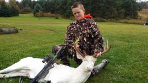 Public 635494019010310024 Albino Deer