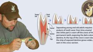 QDMA Jawbone Lead1 181003 160251