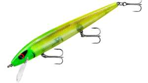 RADCO Perfect 10 Bait Image 181003 161902