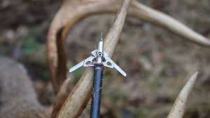 Rage broadhead and whitetail rack