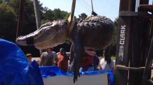 Record Gator Youtbue Screen Shot 2014 08 22 at 303 181010 154924