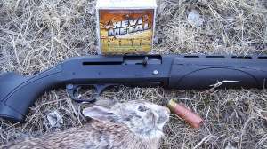 Remington V3 with rabbit