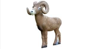 Rinehart 1 2 Scale Bighorn Sheep 3 D target