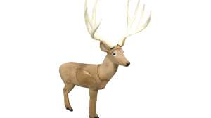 Rinehart Booner Mule Deer 181003 155328