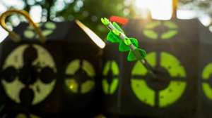 Rinehart Target rebate beauty