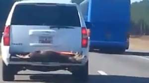 Rudolph Screen Shot 2014 12 18 at 1029 181010 154926