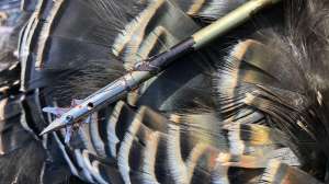 SEVR field test beauty