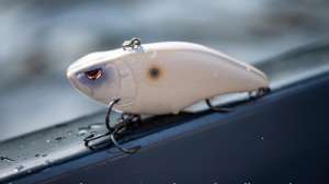 SPRO Aruka Shad pic cropped